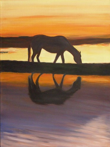Reflections